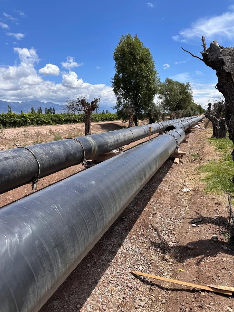 Personal técnico en operación de campo